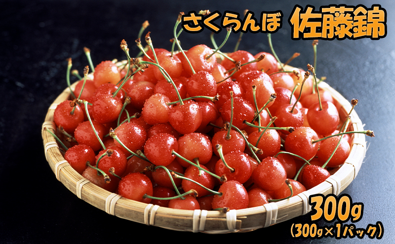 北海道 仁木町産 さくらんぼ 佐藤錦 300g（300g×1パック）  サクランボ チェリー フルーツ 果物 果物類 ギフト 仁木町 仁木 [JA新おたる]
