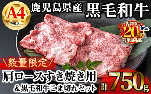 
            【数量限定】鹿児島県産黒毛和牛A4等級以上肩ロースすき焼き用 (計750g＋黒毛和牛こま切れ250g×1P) 鹿児島県産 牛肉 冷凍 【KNOT】 A809-v01
          