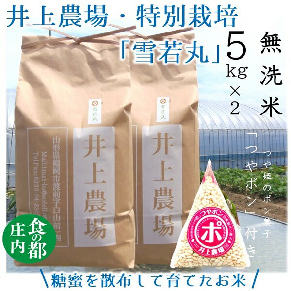【ふるさと納税】食の都庄内　井上農場の【無洗米（精米）】特別栽培米雪若丸10kg　つやポン付（産直出前便）