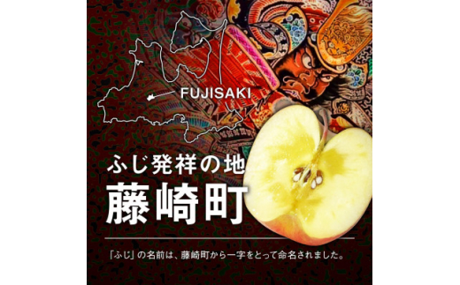 
皮ごとバリッ!葉とらずサンふじ　特Aご家庭用 約3kg【1353849】
