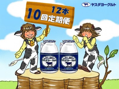 【10か月定期便】ヤスダヨーグルト 150g×12本×10回 小ボトル こだわり生乳 新鮮 濃厚  1B05061