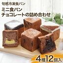 【ふるさと納税】ミニ食パン チョコレートの詰め合わせ 4種12個入 チョコ チョコパン ココア クリーム チョコチップ 手のひらサイズ チョコ好き 食べ比べ 食パン 冷凍 冷凍パン キューブ【旬感冷凍食パンパン・デマンド】