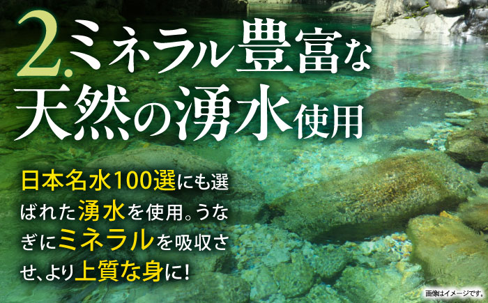 【最速発送】＜諫早淡水＞特大うなぎ蒲焼2尾 / うなぎ ウナギ 鰻 特大 蒲焼き 蒲焼 国産 冷凍 うな重 うな丼 ひつまぶし 丑の日 土用の丑の日 / 諫早市 / 活うなぎ問屋 諫早淡水 [AHAT