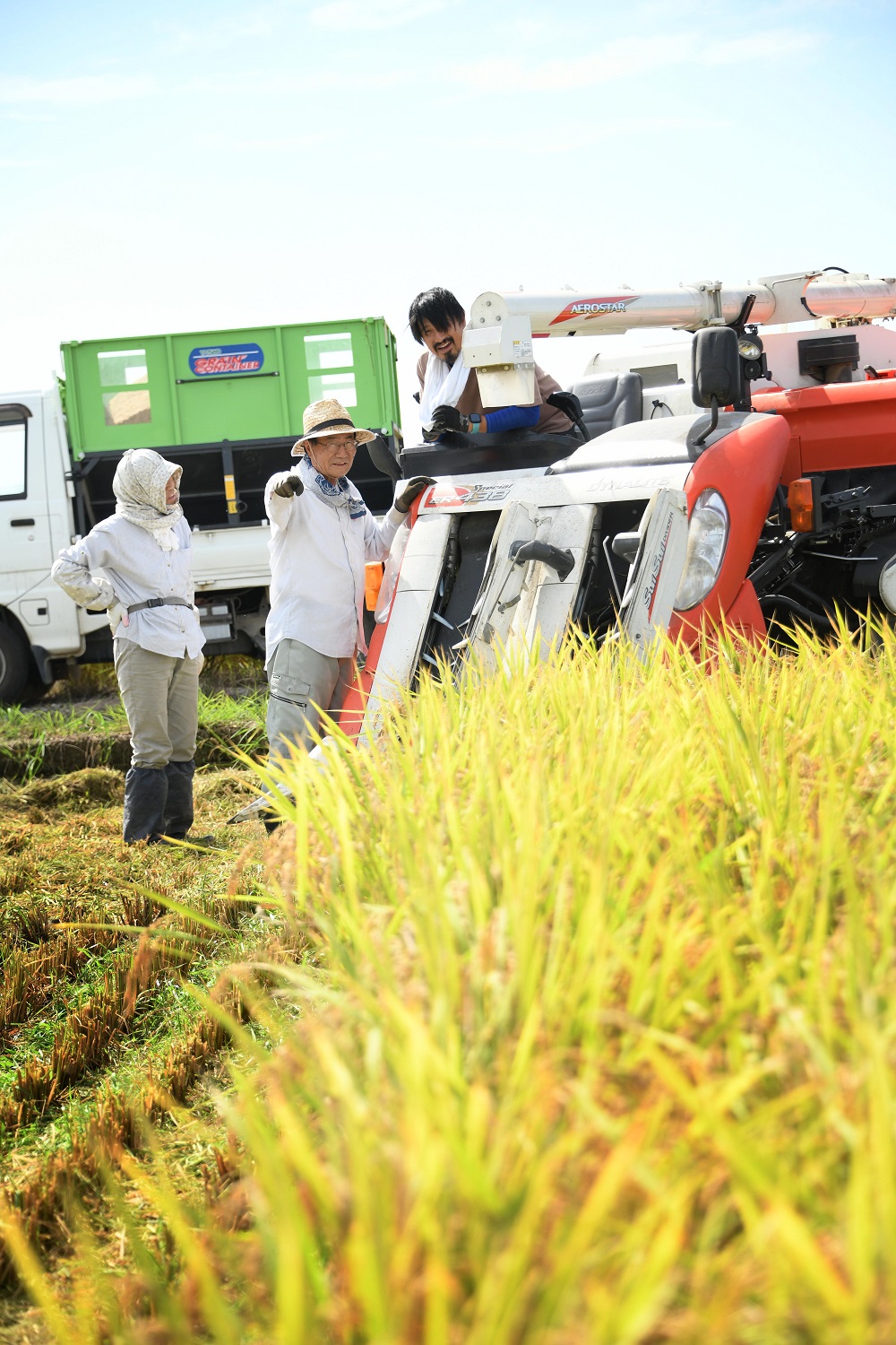 【令和7年産】新潟県阿賀野市産 コシヒカリ 5kg 米 こめ コメ 白米 精米 3D14015