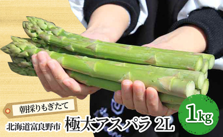 【2027年春発送】極太 グリーンアスパラ 2Lサイズ 1kg (スイートベジタブルファクトリー)