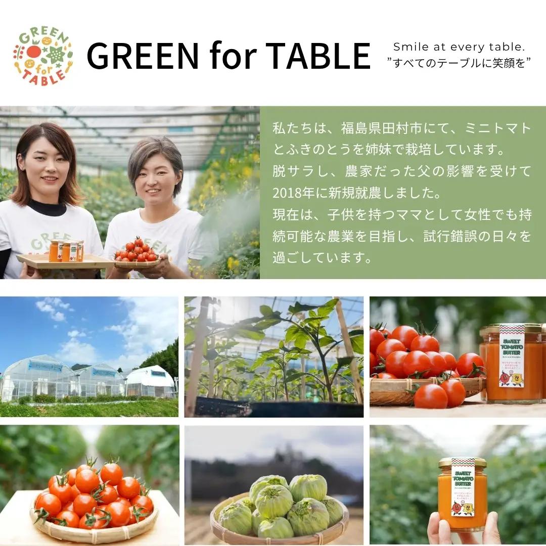 美粒トマト ミニトマト サンチェリー 1kg 2026年7月発送 トマト 新鮮 採れたて フレッシュ 野菜 農家直送 1キロ 人気 福島県 田村市 田村 GREEN for TABLE
