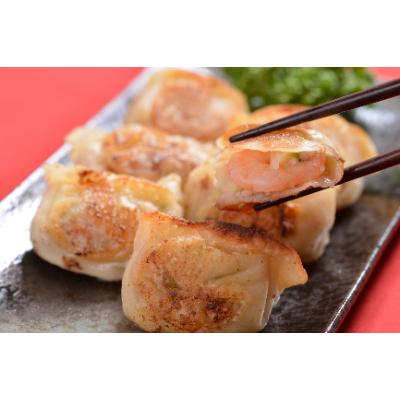 ふるさと納税 帯広市 北の匠　手作り餃子4種【計75個】 |  | 01