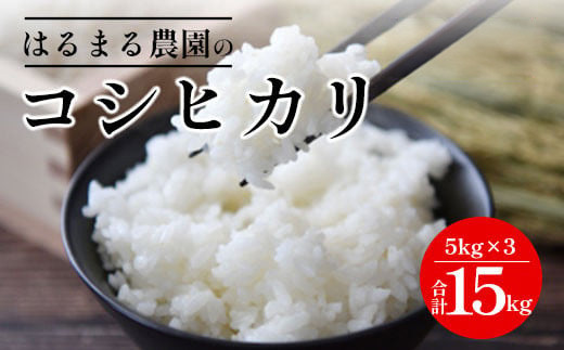 令和8年産 京都丹波福知山産 はるまる農園のコシヒカリ 精米(15kg) 【fc-CN002-R8-C】【はるまる農園】