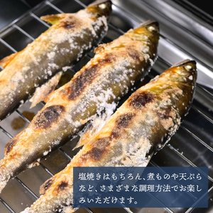美山川の天然鮎 5尾【鮎】