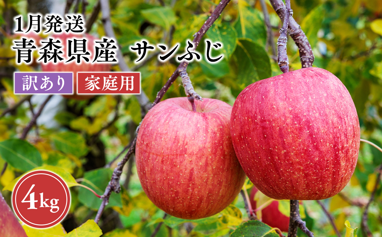 2027年1月発送　【訳あり】家庭用サンふじ 約4kg【原田農園】 家庭用 青森 青森県産 平川 りんご リンゴ 林檎 くだもの 果物 フルーツ 葉とらず サンふじ ふじ