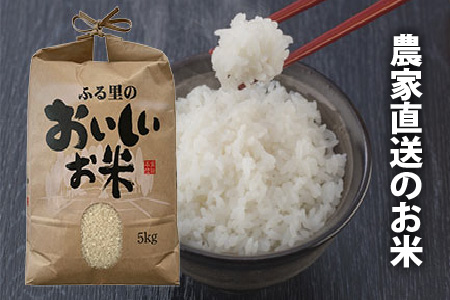 【令和7年産】【農家直送定期便 2ヶ月コース】本原農園のまごころコメたコシヒカリ 10kg × 2回 計20kg（白米） [F-8905] 