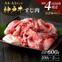 【ふるさと納税】【最短4日以内発送！】神戸牛 すじ肉600g（200g×3） 煮込み 牛すじ 牛スジ 神戸ビーフ 国産 肉 牛肉 セット 冷凍 帝神志方 すぐ届く　お肉・牛肉