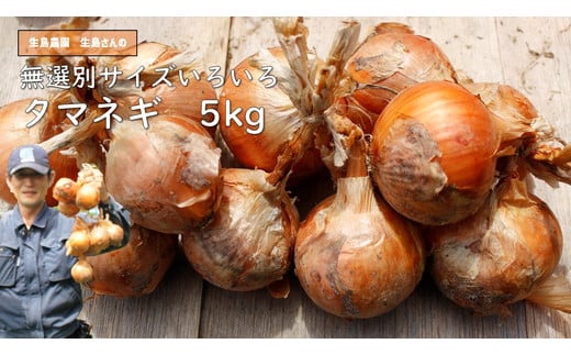 
            【先行予約】タマネギ 生島農園 いくしまさんのたまねぎ（5kg）サイズ無選別（たまねぎ、玉葱） ｜ 煮込み料理 常備菜 多用途 ※離島への配送不可 ※2025年7月上旬頃～11月下旬頃までに順次発送予定
          