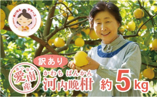 先行予約 訳あり 河内晩柑 5kg 5000円 みかん かわちばんかん わけあり ミカン mikan 愛南ゴールド あいなん ゴールド 家庭用 少量 お試し 文旦 グレープフルーツ 和製 家庭用 産地直送 国産 農家直送 期間限定 数量限定 先行 受付 事前 予約 ビタミン 特産品 ゼリー ジュース 人気 限定 さわやか 甘い フルーツ 果物 柑橘 蜜柑 規格外 あいなんマザーズ 愛南町 愛媛県
