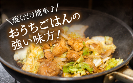 白川郷 自家製 けいちゃん 250g×2袋セット 鶏肉 味付け肉 味噌味 焼肉店オリジナル 簡単おかず 冷凍 味付き 郷土料理 白川村 てんから アウトドア BBQ 6000円  [S913]