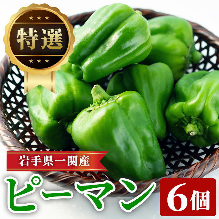 【ふるさと納税】先行予約 特選 ピーマン 6個 野菜 朝採れ 新鮮 農家直送 ふるさと納税 炒め物 肉詰め 回鍋肉 ホイコーロー 栄養豊富 高品質 6月〜10月発送 送料無料 岩手県 一関市