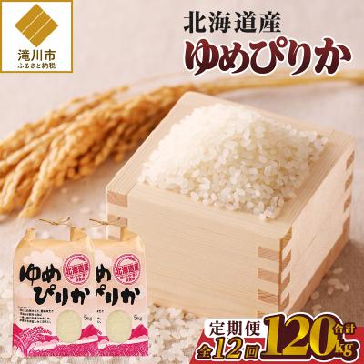 ふるさと納税 滝川市 《令和7年産》12ヶ月連続お届け!ゆめぴりか10kg 特A ブランド米 米 白米 北海道 定期便