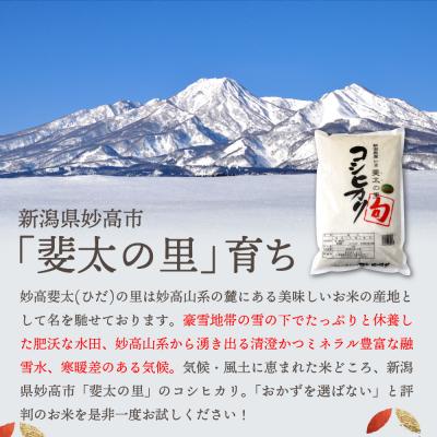 ふるさと納税 妙高市 【2026年1月中旬発送】【令和7年産米】新潟県妙高産斐太の里コシヒカリ旬5kg |  | 01