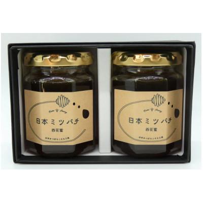 ふるさと納税 豊前市 日本ミツバチの蜂蜜(ギフトセット150g×2本) |  | 03