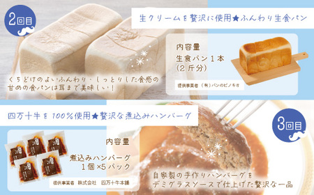 【5回定期便】男性一人暮らしさんのための 定期便 四万十市 四万十 高知 高知県 しまんと 鰹 かつお かつおのたたき 牛肉 ハンバーグ 煮込み 四万十牛 ピザ ピッツァ ガトーショコラ 冷凍 食パン