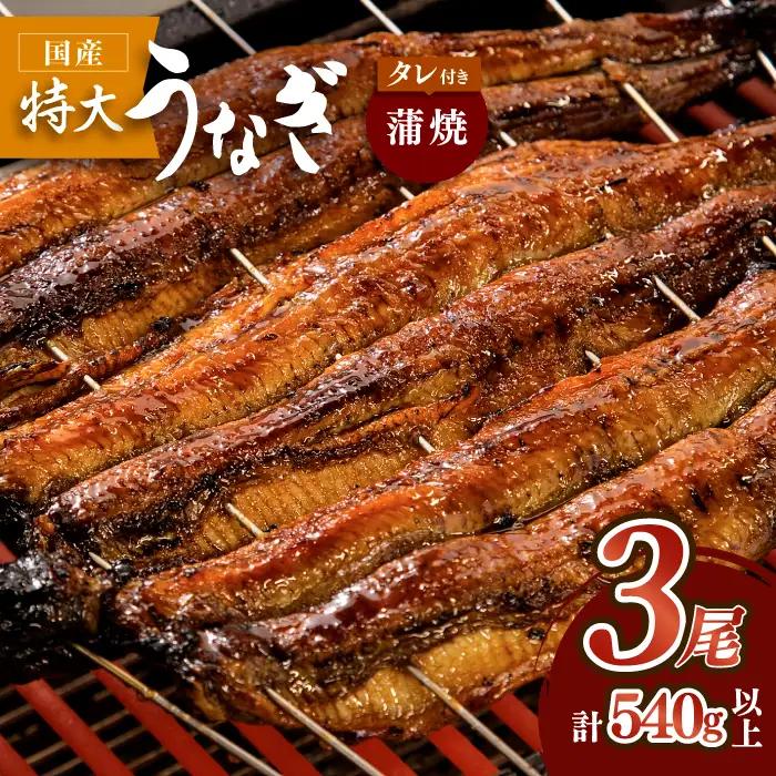 国産 鰻蒲焼 3枚セット うなぎ ウナギ 鰻[FAD002]