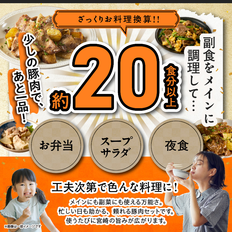 宮崎県産豚肉6種盛り合わせセット(合計4.1kg)_T030-2045【肉 豚 豚肉 おかず 国産 人気 ギフト 食品 お肉 焼き肉 BBQ お土産 贈り物 送料無料 プレゼント】