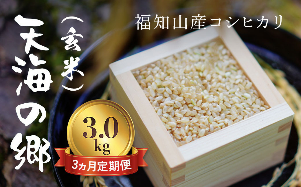 
            【令和6年産】【3ヵ月定期便】京都福知山産コシヒカリ『天海の郷』3kg（玄米）天空に広がる天海の郷 / ふるさと納税 こめ コメ 米 コシヒカリ こしひかり 玄米 定期 3カ月 おいしい 美味しい 美容 健康 天空 雲海 天海の郷 京都府 福知山市 FCCM033
          