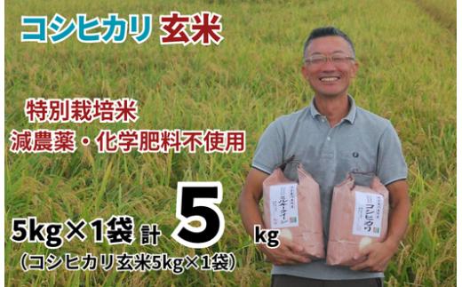 玄米【コシヒカリ 玄米　5kg　松原グリーンファーム】 特別栽培米 コシヒカリ 玄米5kg （5kg×1袋）  令和8年産 2026年産 小分け 単一米  減農薬 化学肥料不使用 埼玉県認証 埼玉県 川島町