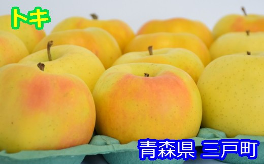 
            りんご【トキ】約5kg（12～20玉）【2025年産・先行予約】★2025年9月下旬～11月上旬頃まで発送予定★ 青森県三戸町産
          