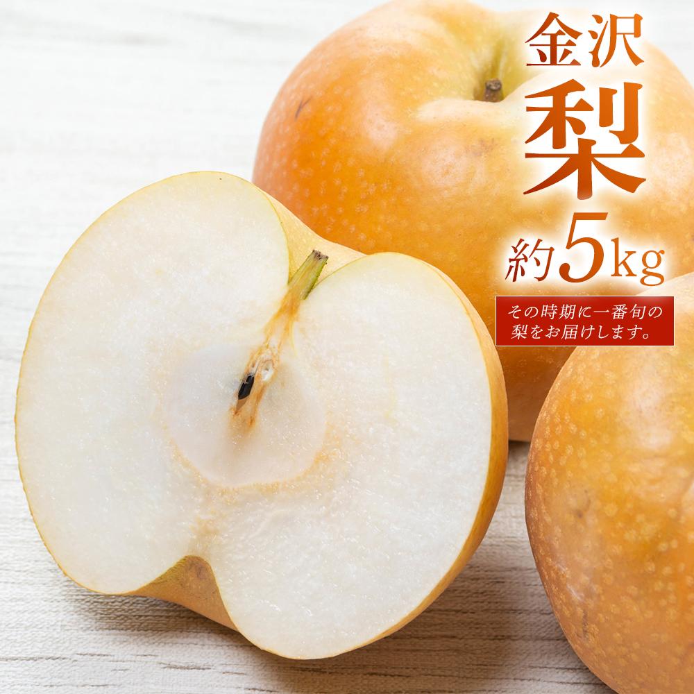 【ふるさと納税】JA金沢市 金沢梨 5kg | 石川 金沢 加賀百万石 加賀 百万石 北陸 北陸復興 北陸支援 果物類 梨 食品 フルーツ くだもの 金沢市 産地直送 新鮮 贈り物 ギフト 高級 甘いジューシー 旬 収穫直後 お取り寄せ