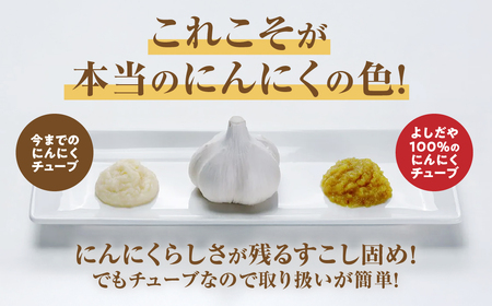 青森県産にんにく すりおろし 200g×２本 チューブ にんにく
