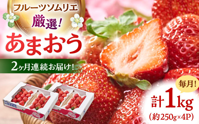 
            【全2回定期便】福岡産【春】いちご あまおう4パック ▼ イチゴ  苺 福岡 あまおう 果物 フルーツ 定期便  桂川町/南国フルーツ株式会社[ADBW042]
          