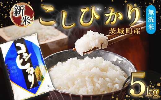 684 【令和7年産】茨城町産 無洗米 こしひかり 5kg【野口ライス】