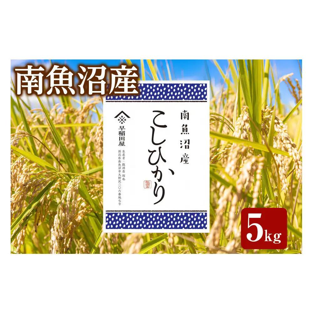 【ふるさと納税】【令和8年 新米予約】特別栽培米　南魚沼産コシヒカリ 5kg　塩沢産コシヒカリ【2026年10月中旬より1ヵ月以内に順次発送予定】｜コシヒカリ