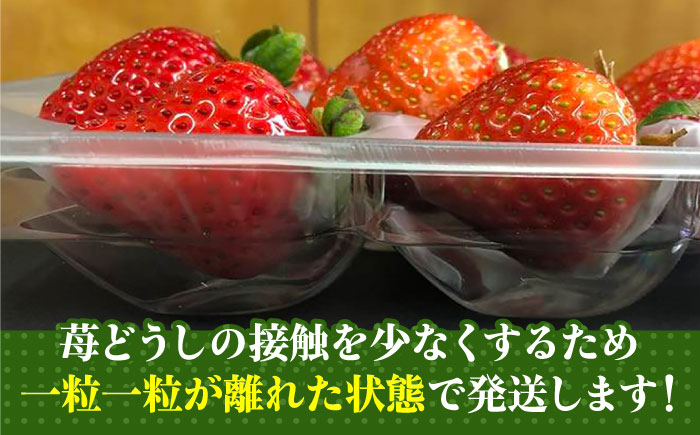 【2月下旬より発送】農家直送 朝採り新鮮いちご【博多あまおう】約270g×2＜株式会社H&Futures＞那珂川市 [GDS003]