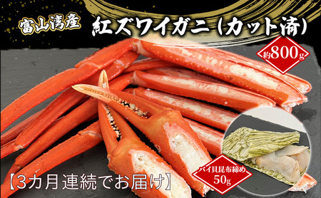 【3か月連続でお届け】富山湾産紅ズワイガニ（カット済）・バイ貝朧昆布締めセット 富山県黒部市/タグ付き 贈答 自分にご褒美  漁師直販 恵比須丸 定期便 魚貝類 加工食品 ずわい蟹 