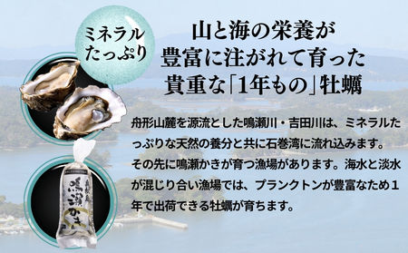  牡蠣 鍋セット 鳴瀬 かき 牡蠣 加熱用 かき 【2025年12月上旬から順次発送予定】 カキ むき身 鍋 牡蠣 オンラインワンストップ 申請 対応 自治体マイページ 宮城県 東松島市