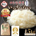 【ふるさと納税】【先行予約】【令和6年産新米】【一等米】いっちょらい 無洗米 5kg ／ 福井県産 ブランド米 コシヒカリ ご飯 白米 新鮮 大賞 受賞 ※2024年9月下旬より順次発送