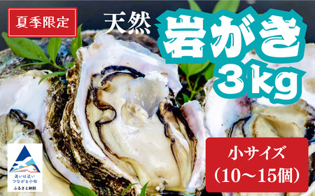 天然岩がき 小サイズ（10～15個） 3Kg 夏季限定！ 安宅産 かき 牡蠣 かき 牡蠣 かき 牡蠣 かき 牡蠣 かき 牡蠣