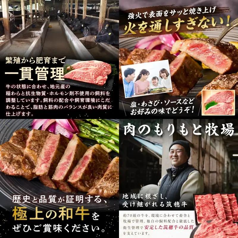 森本牧場産 本格黒毛和牛 筑穂牛 サーロインステーキ 250g×2枚【E-099】