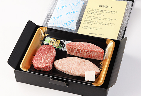 【冷凍】希少部位3種を食べ比べ！飛騨牛ステーキ食べ比べセット （イチボ 100g×1枚・ランプ 100g×１枚・ミスジ 100g×１枚）最高級 国産 牛肉 ブランド牛 和牛  【22-22】