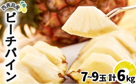 2026年 先行予約 ピーチパイン 約6kg 7～9玉 甘熟 西表島ふる～つらんど 不動の人気No.1 果物 フルーツ パイン