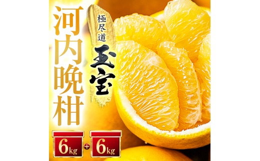 ＜愛媛名産＞玉宝河内晩柑　12kg＜F64-54＞【1511222】 YWTY043