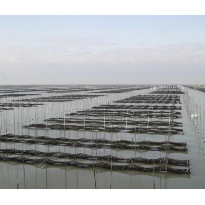ふるさと納税 直方市 (福岡有明海苔5つの味 8切600枚)有明海産一番摘「味付けおかず海苔　15袋入詰合セット」(直方) |  | 03