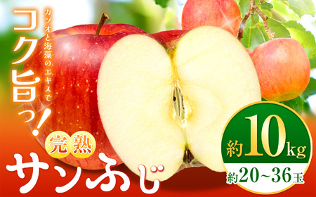 【先行受付】【完熟サンふじ10kg】鰹と海藻のエキスでコク！旨っ！全面真っ赤々！完熟サンふじ 