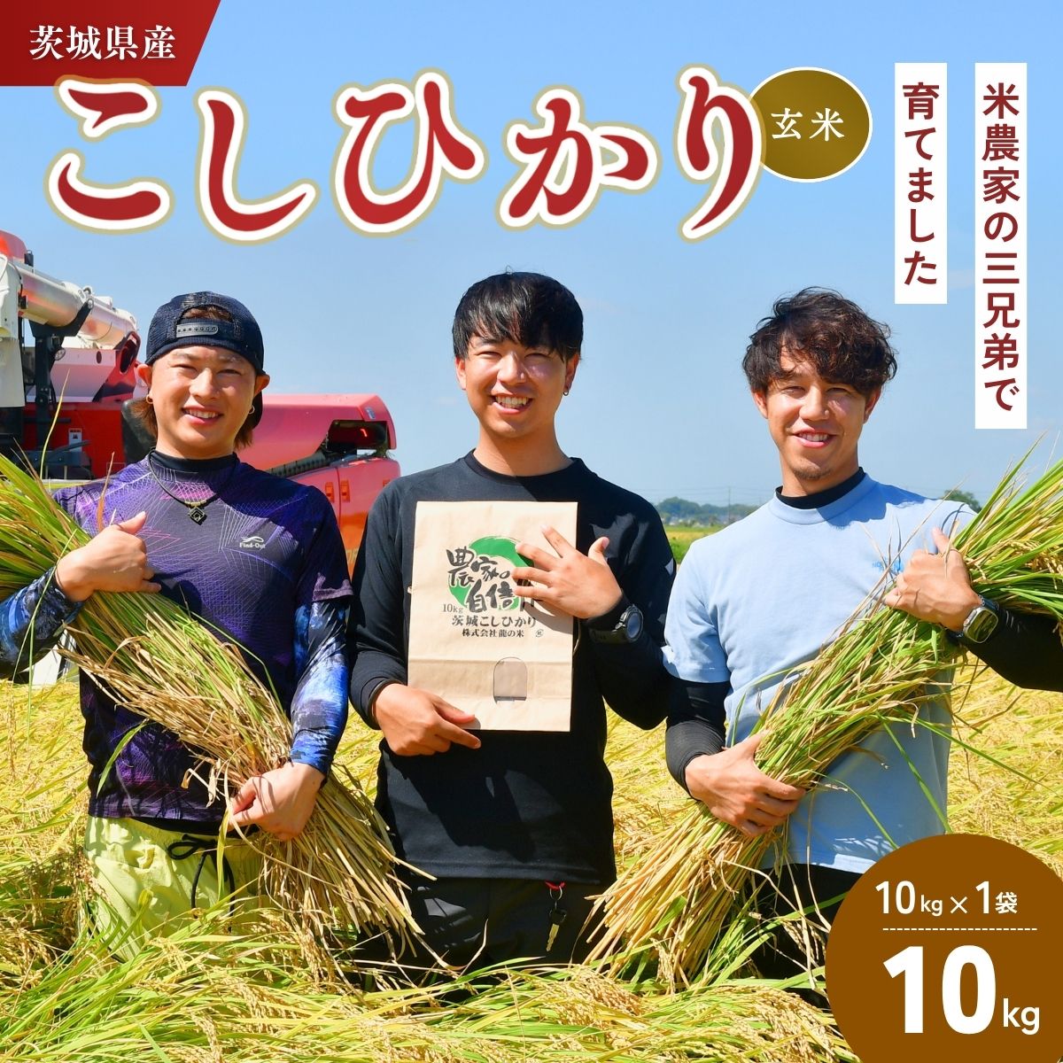 【ふるさと納税】令和7年度新米 龍ケ崎の美味しいコシヒカリ(玄米) 10kg(10kg×1袋) ? こしひかり お米 米 こめ 玄米 新米 冷めてもおいしい 美味しい こだわり おにぎり 茨城県 龍ケ崎市産