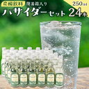 【ふるさと納税】炭酸飲料 サイダー セット 24本 × 250ml ハサイダー | 飲料 ソフトドリンク 人気 おすすめ 送料無料