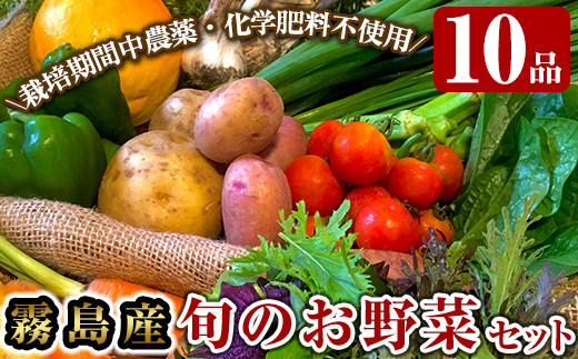 
A2-011 霧島産！旬の野菜セット(季節の野菜10品)【有機ファームえん】
