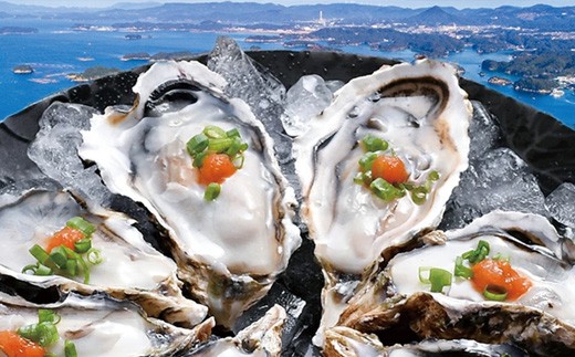【 産地直送 】 九十九島産 ハーフシェル 真がき 30個 セット 新鮮 牡蠣 かき オイスター マルモ水産 長崎県 佐世保市