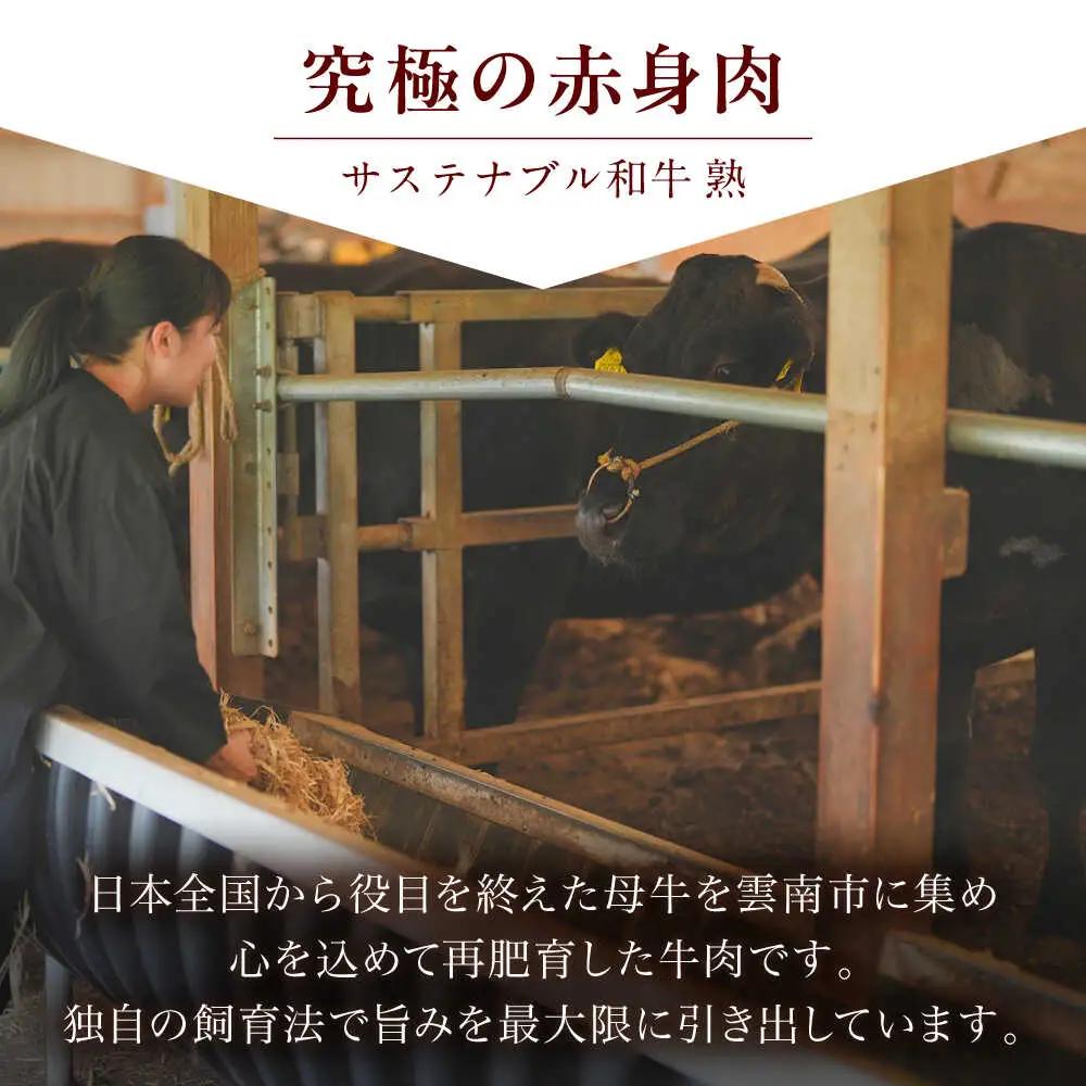 稀少部位ステーキ肉480g(120g×4枚 )和牛[AIAT012]ステーキ肉